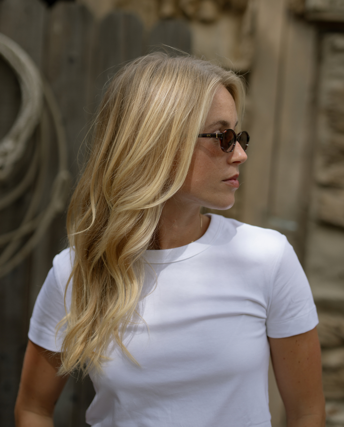 Tinsley sunglasses by ETC in Brown #Color_Brown